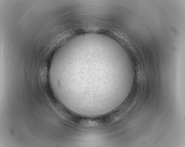 X0000115150498200911101732