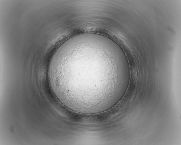 X0000115150499200911101732