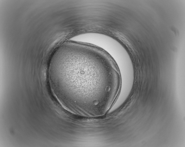 X0000115150501200911101732
