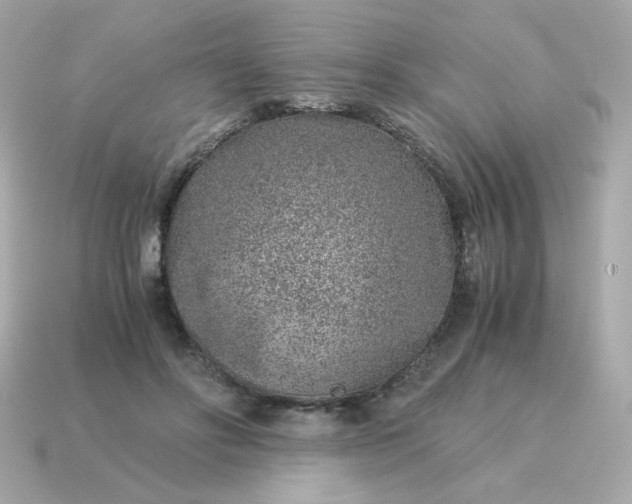 X0000115150502200911101732