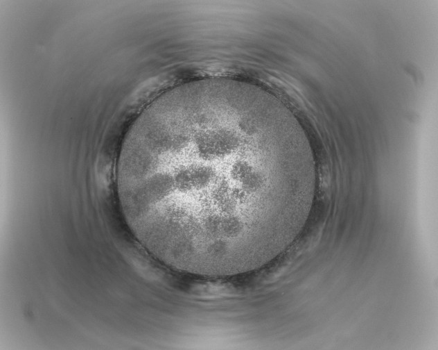 X0000115150503200911101732