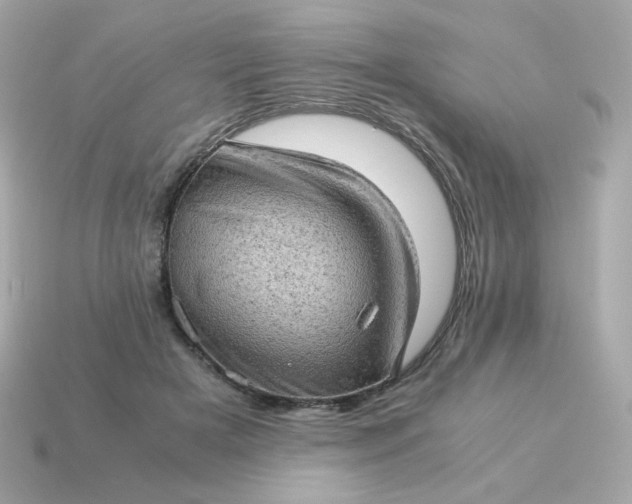 X0000115150505200911101732