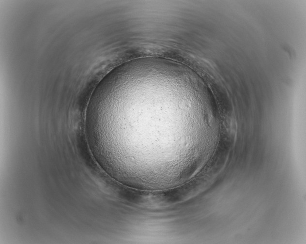 X0000115150511200911101732