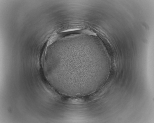 X0000115150512200911101732