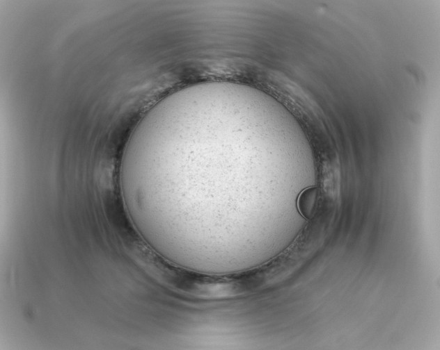 X0000115150514200911101732