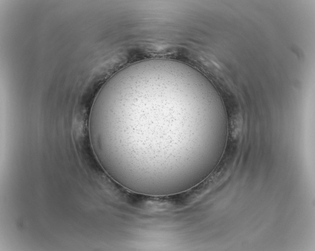 X0000115150515200911101732