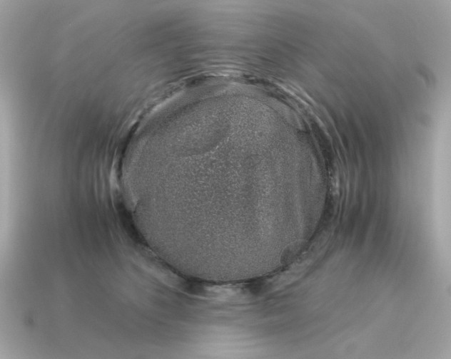 X0000115150516200911101732