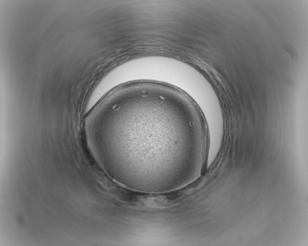X0000115150517200911101732