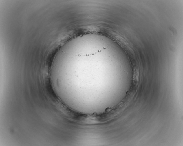 X0000115150518200911101732