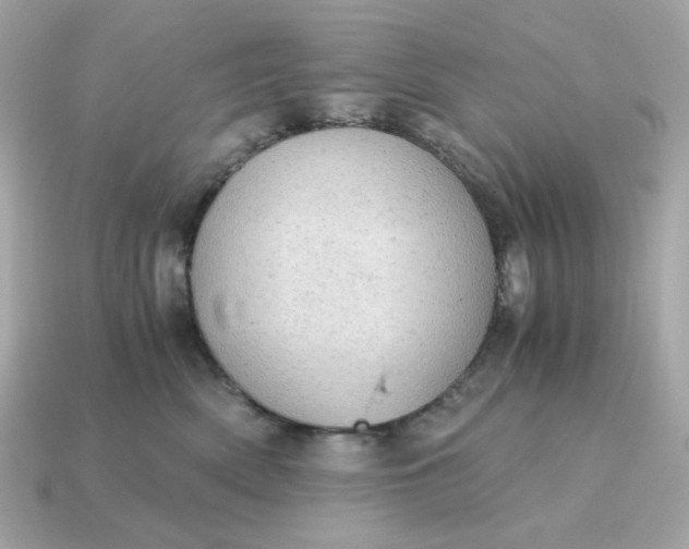 X0000115150522200911101732