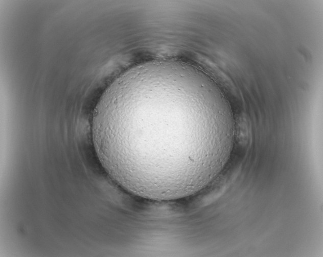 X0000115150523200911101732