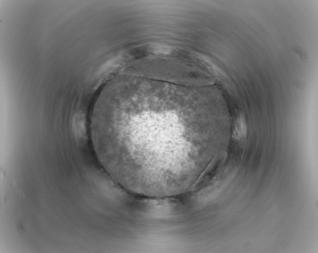 X0000115150524200911101732