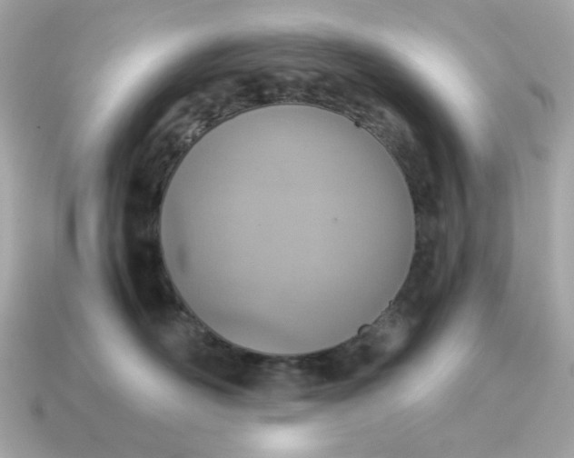 X0000115150526200911101732