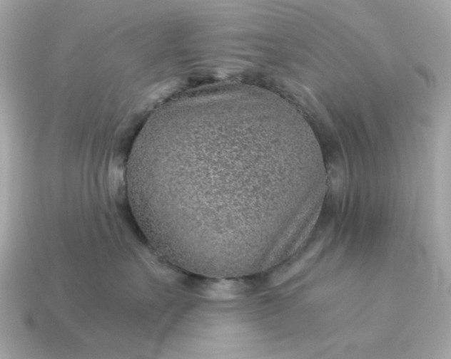 X0000115150527200911101732