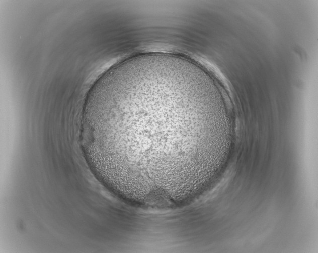 X0000115150529200911101731