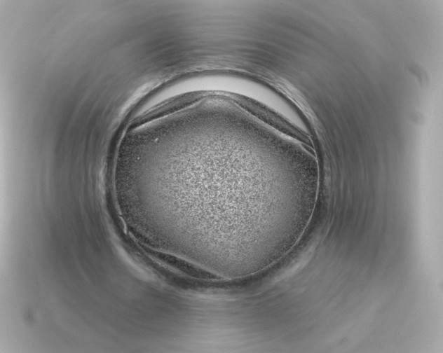 X0000115150530200911101731