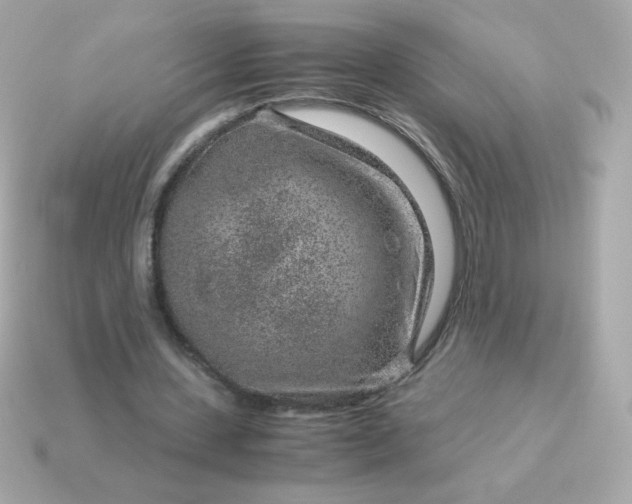 X0000115150531200911101731