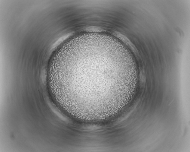 X0000115150533200911101731