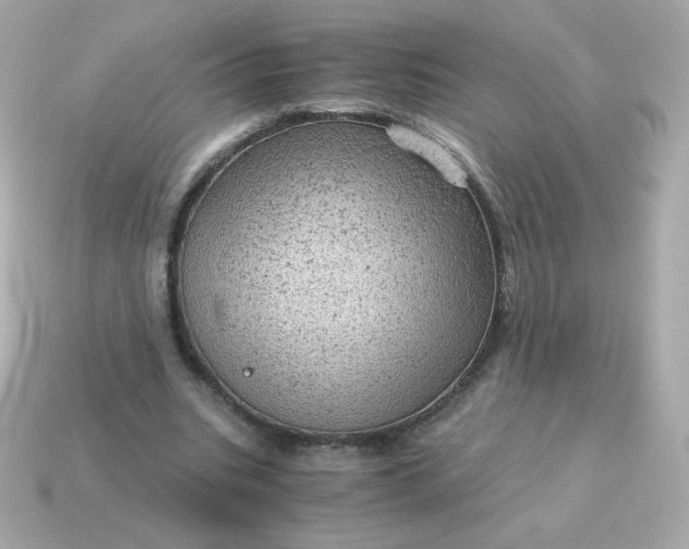 X0000115150535200911101731