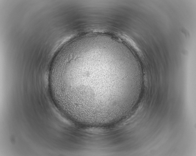 X0000115150537200911101731