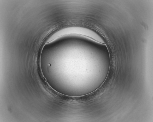 X0000115150538200911101731
