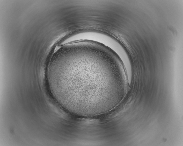 X0000115150539200911101731