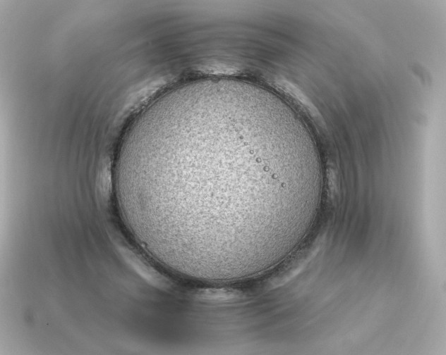 X0000115150541200911101731