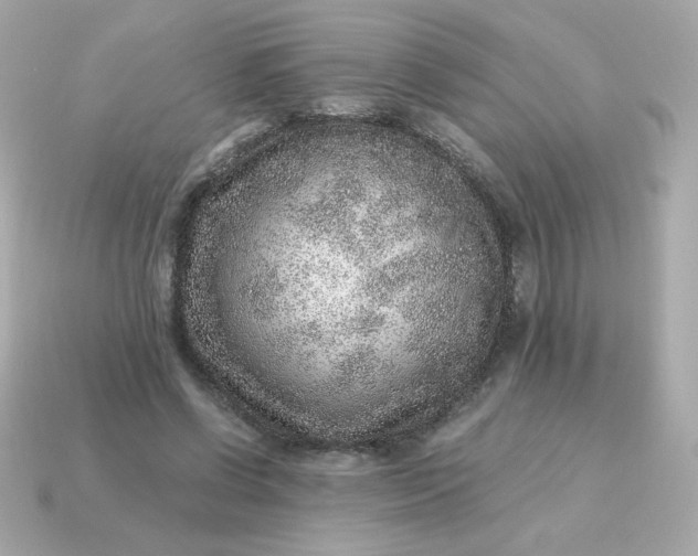 X0000115150542200911101731