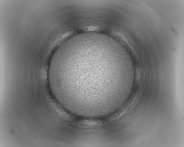 X0000115150545200911101731