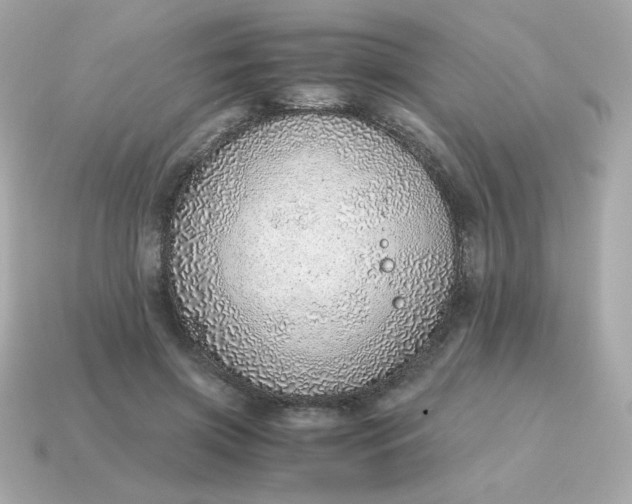 X0000115150549200911101731