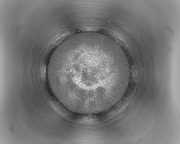 X0000115150550200911101731