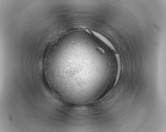 X0000115150551200911101731