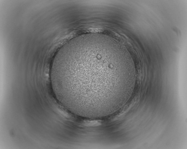 X0000115150553200911101731