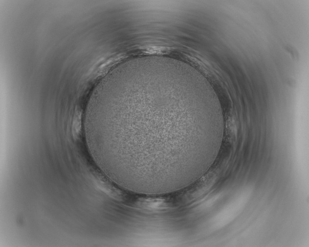 X0000115150554200911101731