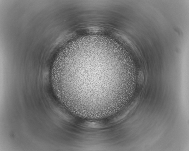 X0000115150557200911101731