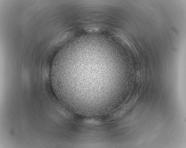 X0000115150561200911101731