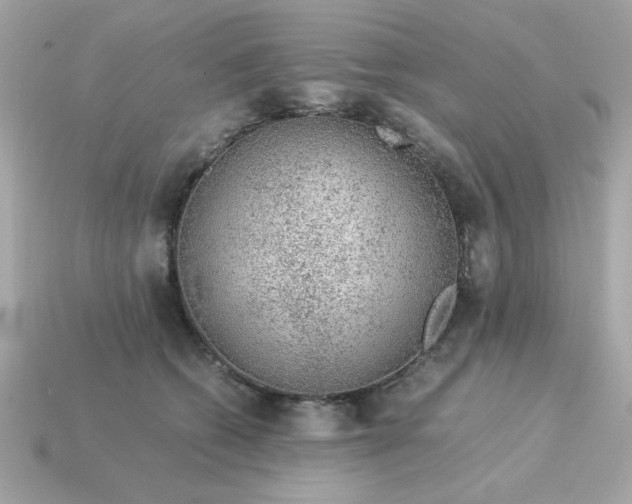 X0000115150562200911101731