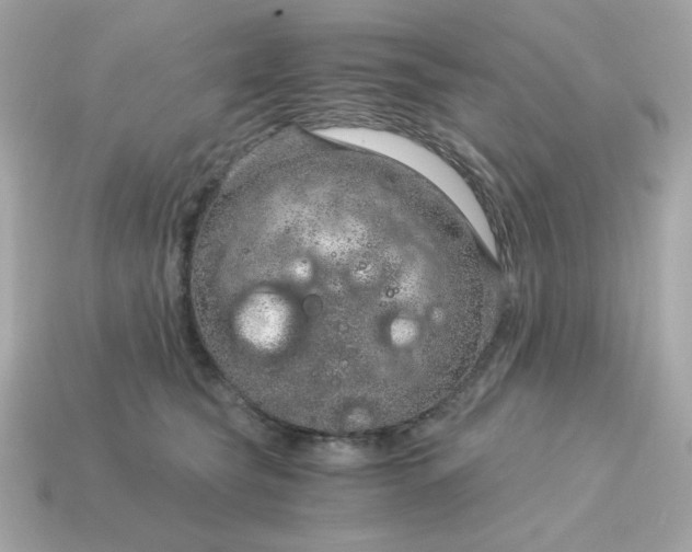 X0000115150565200911101731