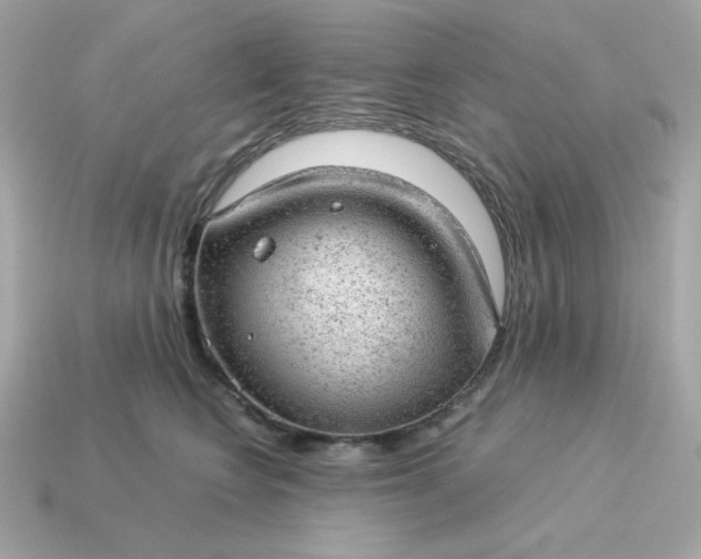 X0000115150566200911101731