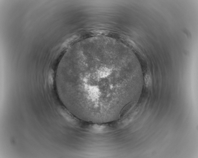 X0000115150570200911101731