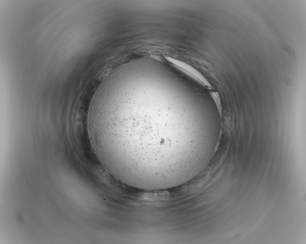 X0000115150571200911101731