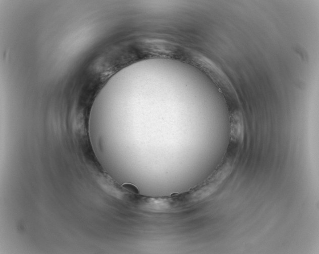 X0000115150573200911101731