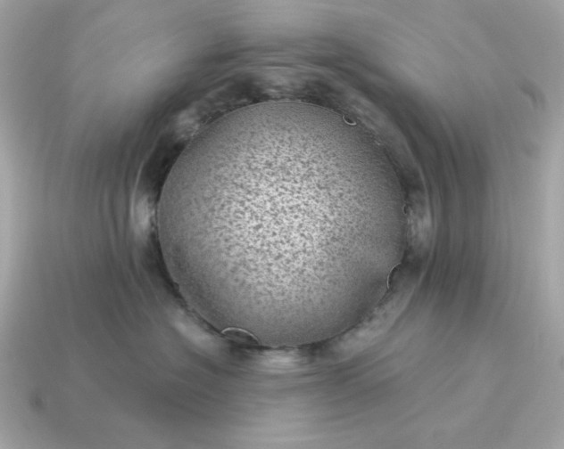 X0000115150574200911101732
