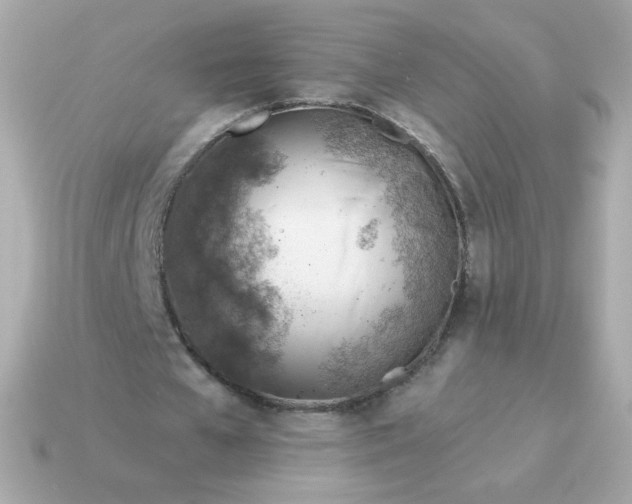 X0000115150577200911101731