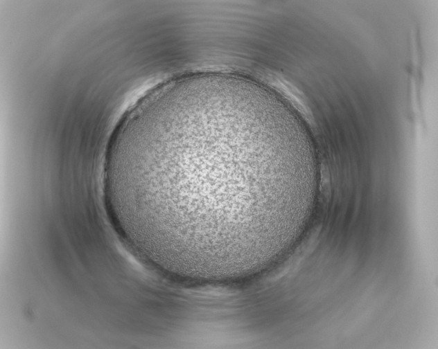 X0000115150578200911101731