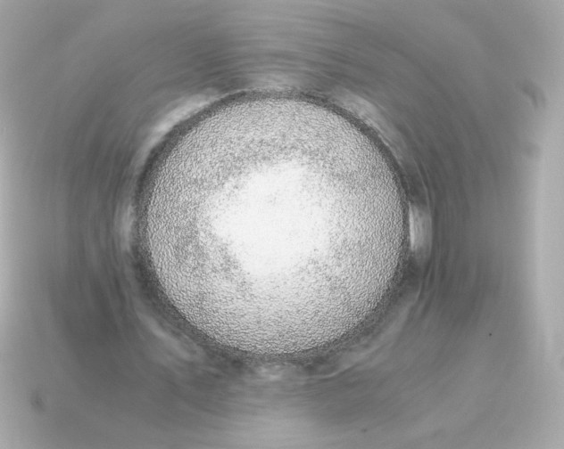 X0000115150579200911101731