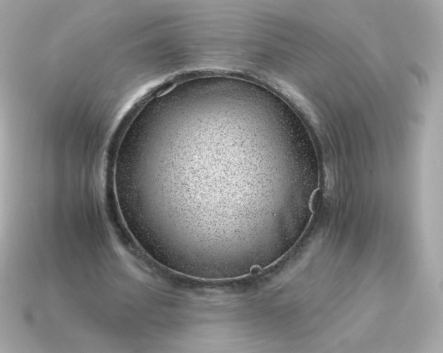 X0000115150580200911101731