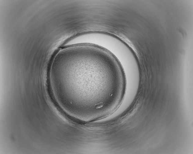 X0000115150581200911101731