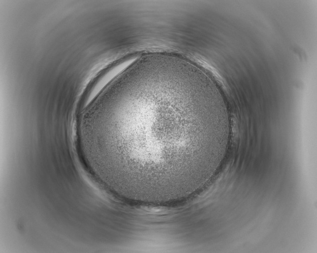 X0000115150582200911101731