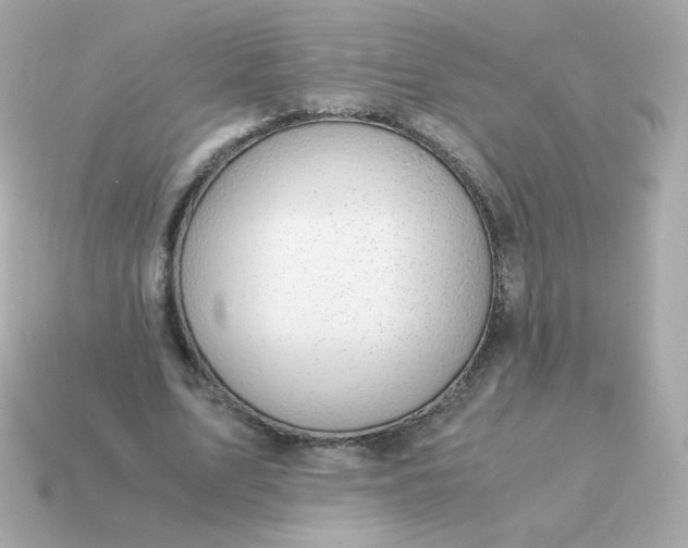 X0000115150583200911101731